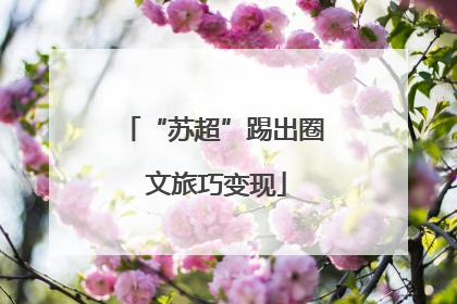 “苏超”踢出圈 文旅巧变现