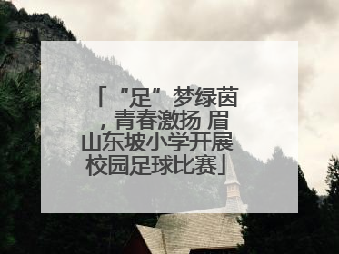 “足”梦绿茵，青春激扬 眉山东坡小学开展校园足球比赛