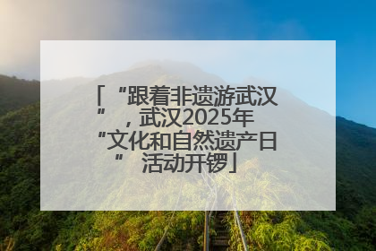 “跟着非遗游武汉”，武汉2025年“文化和自然遗产日” 活动开锣