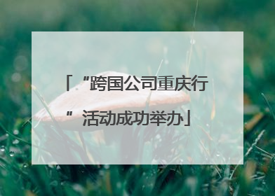 “跨国公司重庆行”活动成功举办