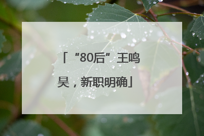 “80后”王鸣昊，新职明确