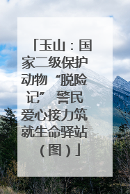 玉山：国家二级保护动物“脱险记” 警民爱心接力筑就生命驿站（图）