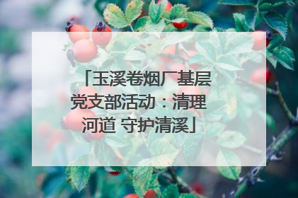 玉溪卷烟厂基层党支部活动：清理河道 守护清溪