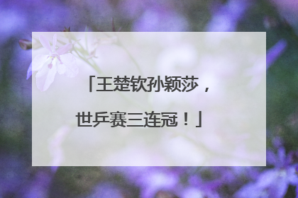 王楚钦孙颖莎，世乒赛三连冠！
