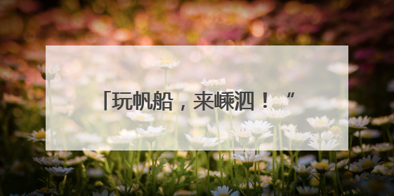 玩帆船，来嵊泗！“东海杯”2025嵊泗列岛帆船赛盛大开幕