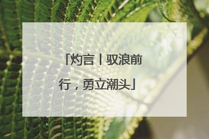 灼言丨驭浪前行，勇立潮头