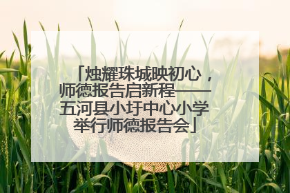 烛耀珠城映初心，师德报告启新程——五河县小圩中心小学举行师德报告会