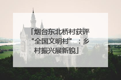 烟台东北桥村获评“全国文明村”：乡村振兴展新貌