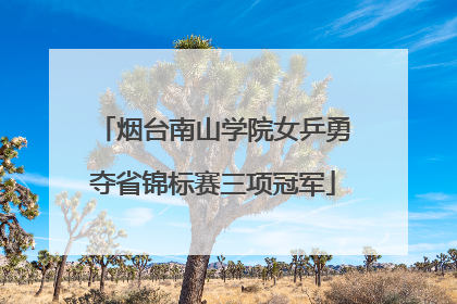 烟台南山学院女乒勇夺省锦标赛三项冠军