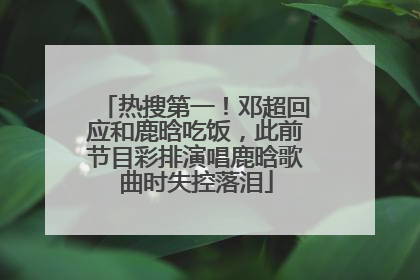 热搜第一！邓超回应和鹿晗吃饭，此前节目彩排演唱鹿晗歌曲时失控落泪