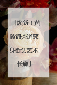 焕新！黄陂锦秀道变身街头艺术长廊