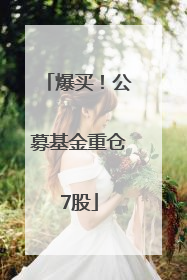 爆买！公募基金重仓7股