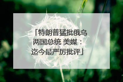 特朗普猛批俄乌两国总统 美媒：迄今最严厉批评
