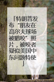 特朗普发布“朋友在高尔夫球场被鹅咬”照片，被咬者疑似美国中东问题特使