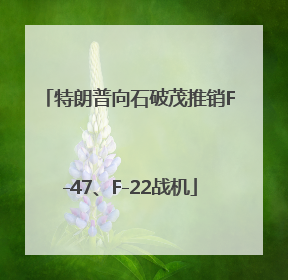 特朗普向石破茂推销F-47、F-22战机