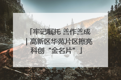牢记嘱托 善作善成｜高新区华苑片区擦亮科创“金名片”