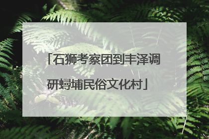 石狮考察团到丰泽调研蟳埔民俗文化村