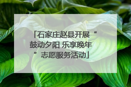 石家庄赵县开展“鼓动夕阳 乐享晚年”志愿服务活动