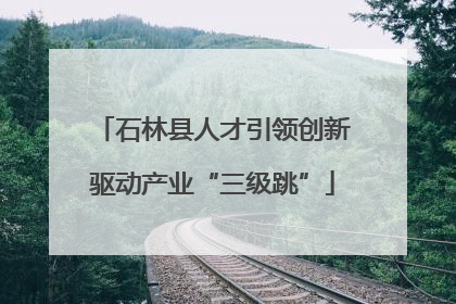 石林县人才引领创新驱动产业“三级跳”