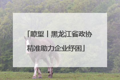 瞭望丨黑龙江省政协精准助力企业纾困