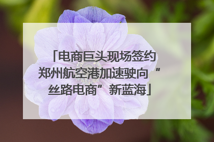 电商巨头现场签约 郑州航空港加速驶向“丝路电商”新蓝海