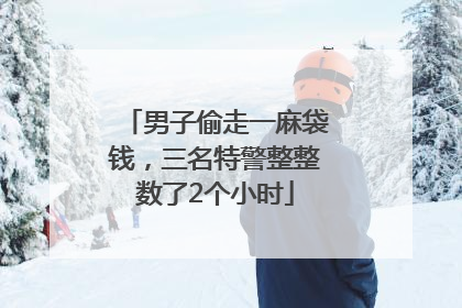 男子偷走一麻袋钱，三名特警整整数了2个小时