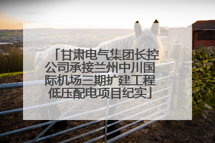甘肃电气集团长控公司承接兰州中川国际机场三期扩建工程低压配电项目纪实