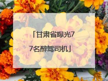 甘肃省曝光77名醉驾司机