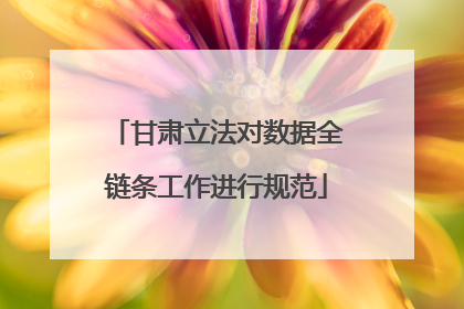 甘肃立法对数据全链条工作进行规范
