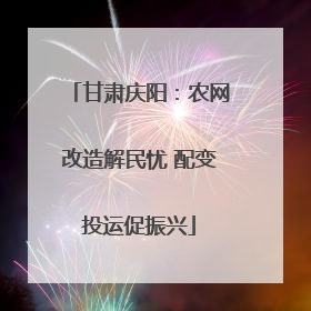 甘肃庆阳：农网改造解民忧 配变投运促振兴