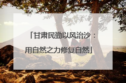 甘肃民勤以风治沙：用自然之力修复自然