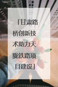 甘肃路桥创新技术助力天陇铁路项目建设