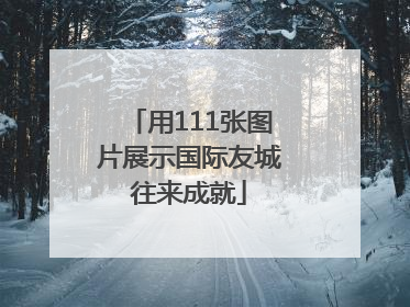 用111张图片展示国际友城往来成就