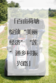 百亩荷塘绽放“美丽经济”“莲”通乡村振兴路