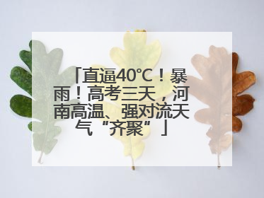 直逼40℃！暴雨！高考三天，河南高温、强对流天气“齐聚”