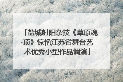 盐城射阳杂技《草原魂·顶》惊艳江苏省舞台艺术优秀小型作品调演