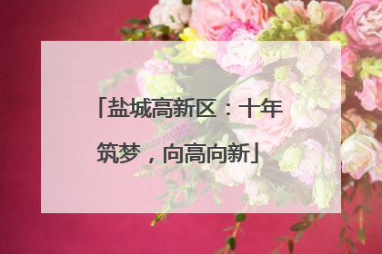 盐城高新区：十年筑梦，向高向新