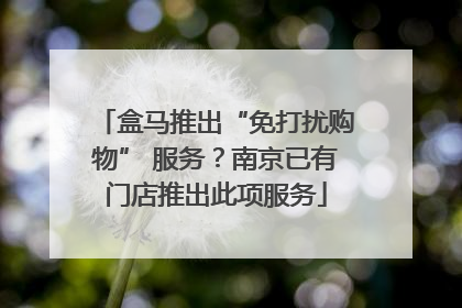 盒马推出“免打扰购物” 服务？南京已有门店推出此项服务