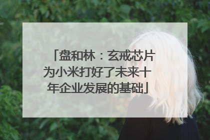 盘和林：玄戒芯片为小米打好了未来十年企业发展的基础