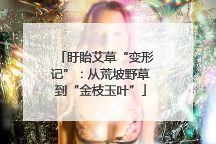 盱眙艾草“变形记”：从荒坡野草到“金枝玉叶”