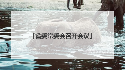 省委常委会召开会议