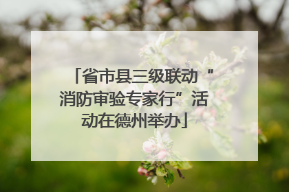 省市县三级联动“消防审验专家行”活动在德州举办