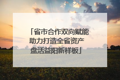 省市合作双向赋能 助力打造全省资产盘活益阳新样板