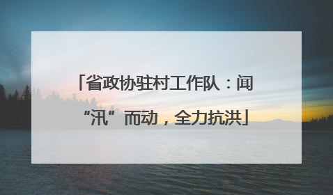 省政协驻村工作队：闻“汛”而动，全力抗洪