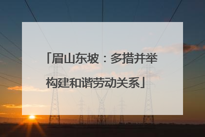 眉山东坡：多措并举构建和谐劳动关系