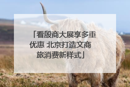 看殷商大展享多重优惠 北京打造文商旅消费新样式