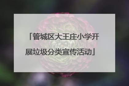 管城区大王庄小学开展垃圾分类宣传活动