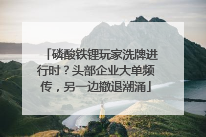 磷酸铁锂玩家洗牌进行时？头部企业大单频传，另一边撤退潮涌