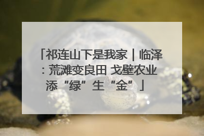 祁连山下是我家｜临泽：荒滩变良田 戈壁农业添“绿”生“金”
