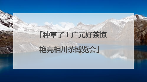 种草了！广元好茶惊艳亮相川茶博览会
